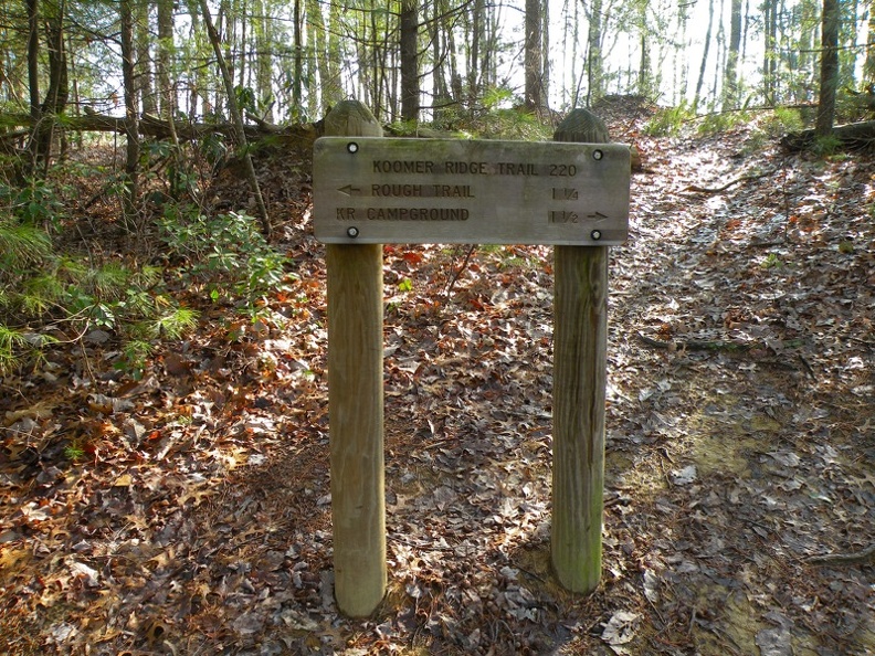 Koomer Ridge Trail.jpg